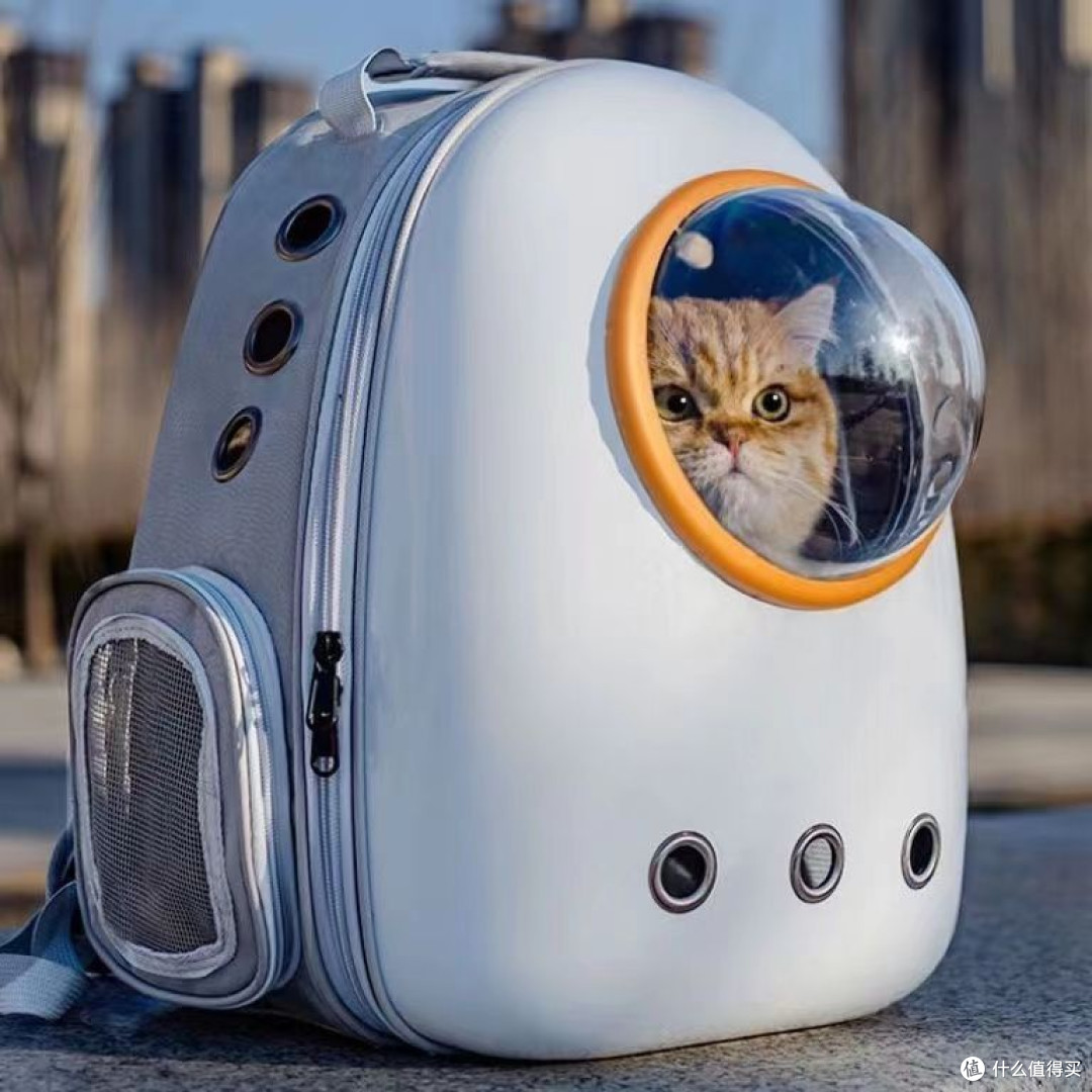 双11养宠必囤！透明太空舱猫包，外出带宠超省心