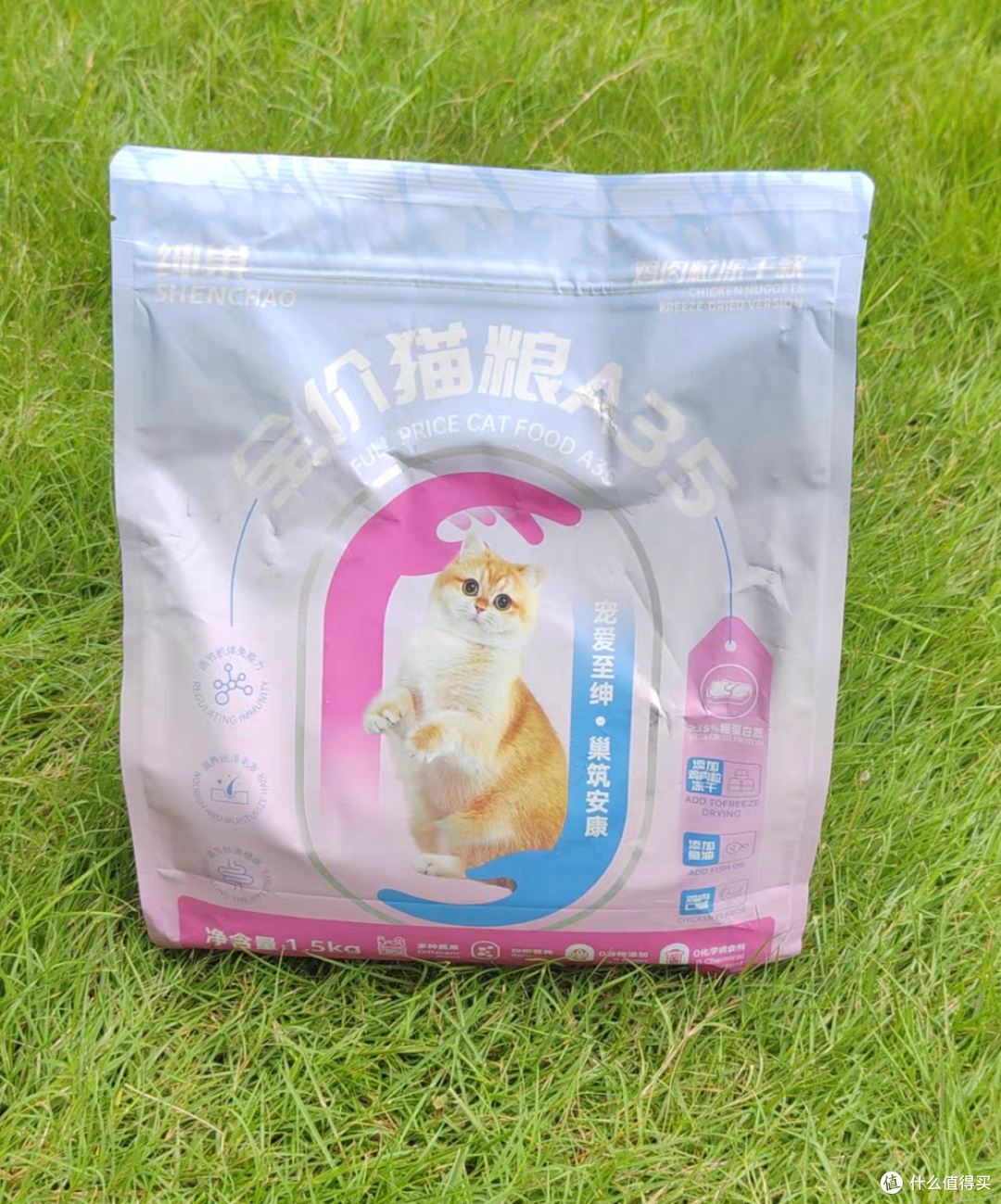 波斯猫吃什么猫粮好？国产口碑最好三个猫粮品牌排行榜
