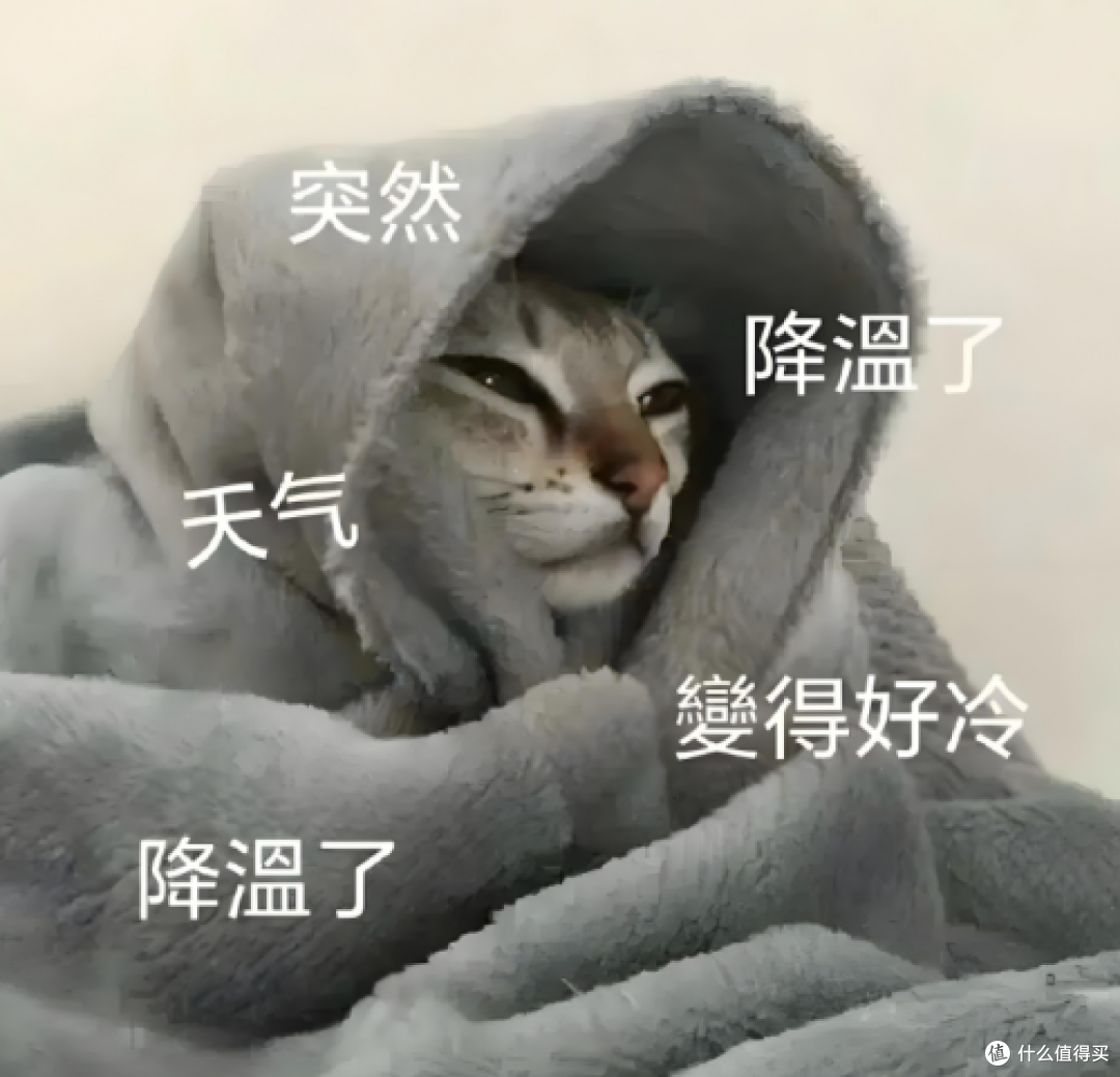 暖风机哪个牌子又省电又暖?2025年精选十款节能又省电暖风机品牌