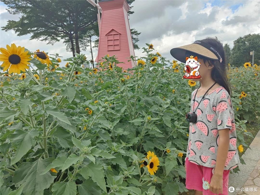 外出 Vlog 随手出片,院子安防全在线!神眸 BC6V 便携摄像头实测
