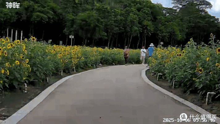 外出 Vlog 随手出片,院子安防全在线!神眸 BC6V 便携摄像头实测