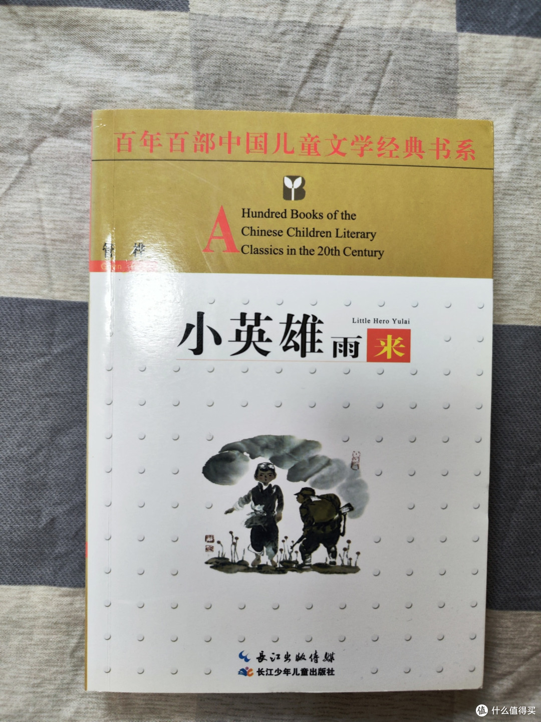儿童文学《小英雄雨来》
