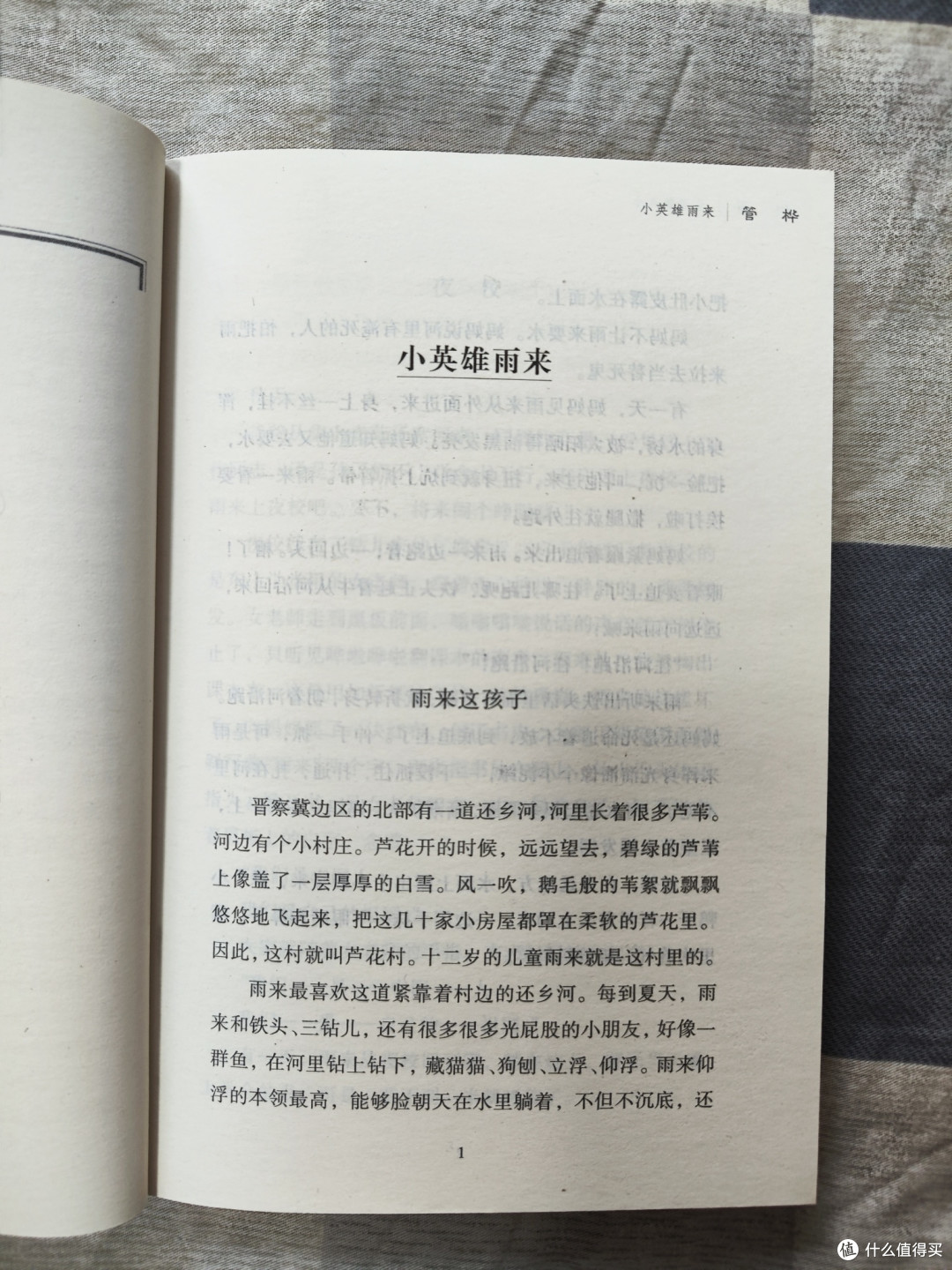 儿童文学《小英雄雨来》