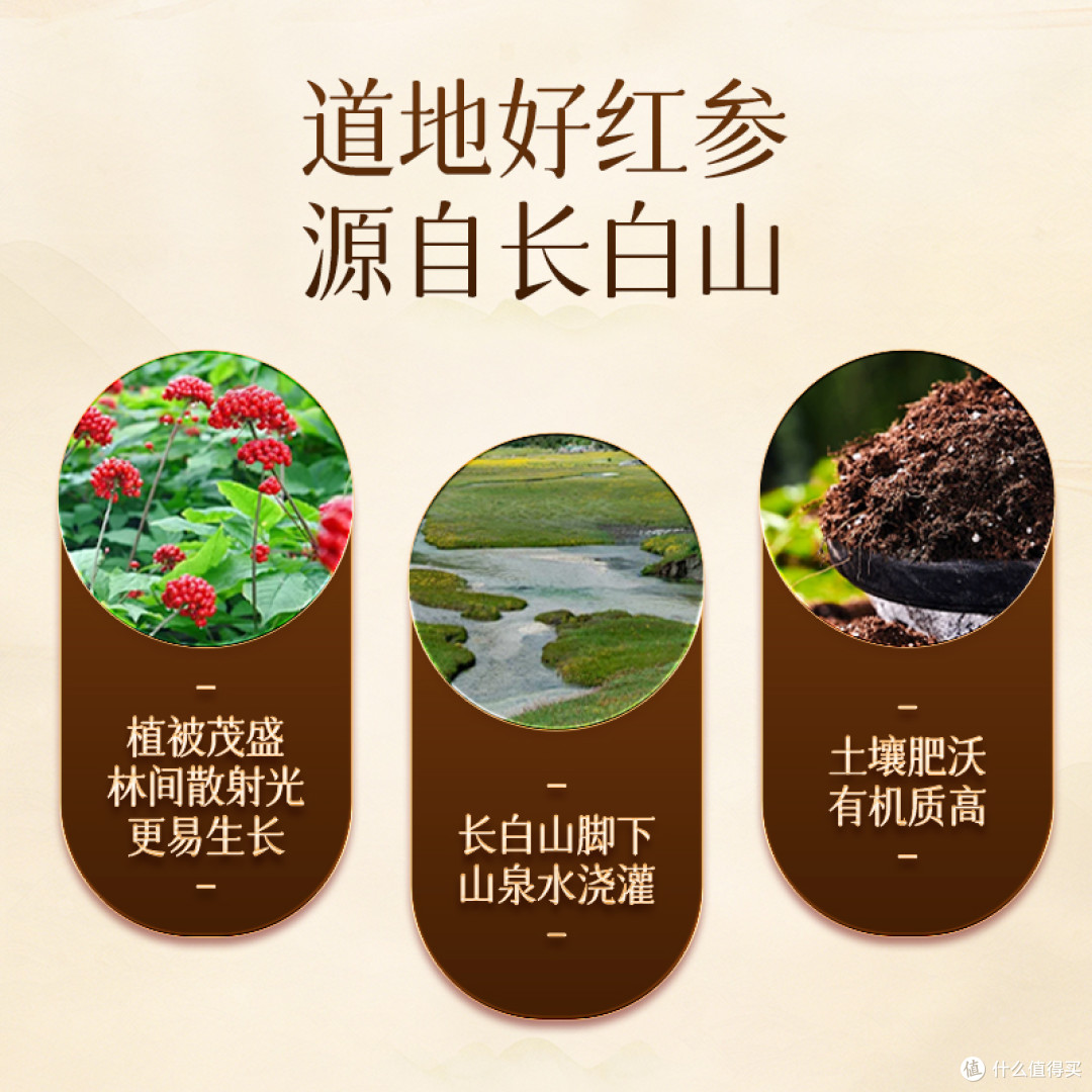 秋冬正是补气血的好时候:2025 双十一十大品牌红参养生榜