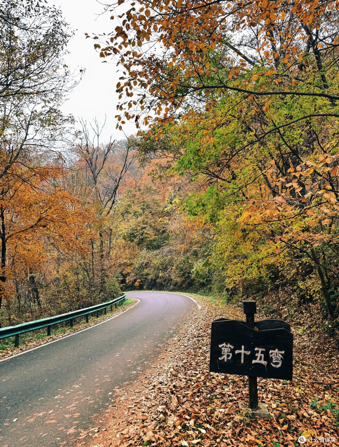双十一错峰赏枫攻略!抚顺天女山人少景美还省钱,比去本溪香太多