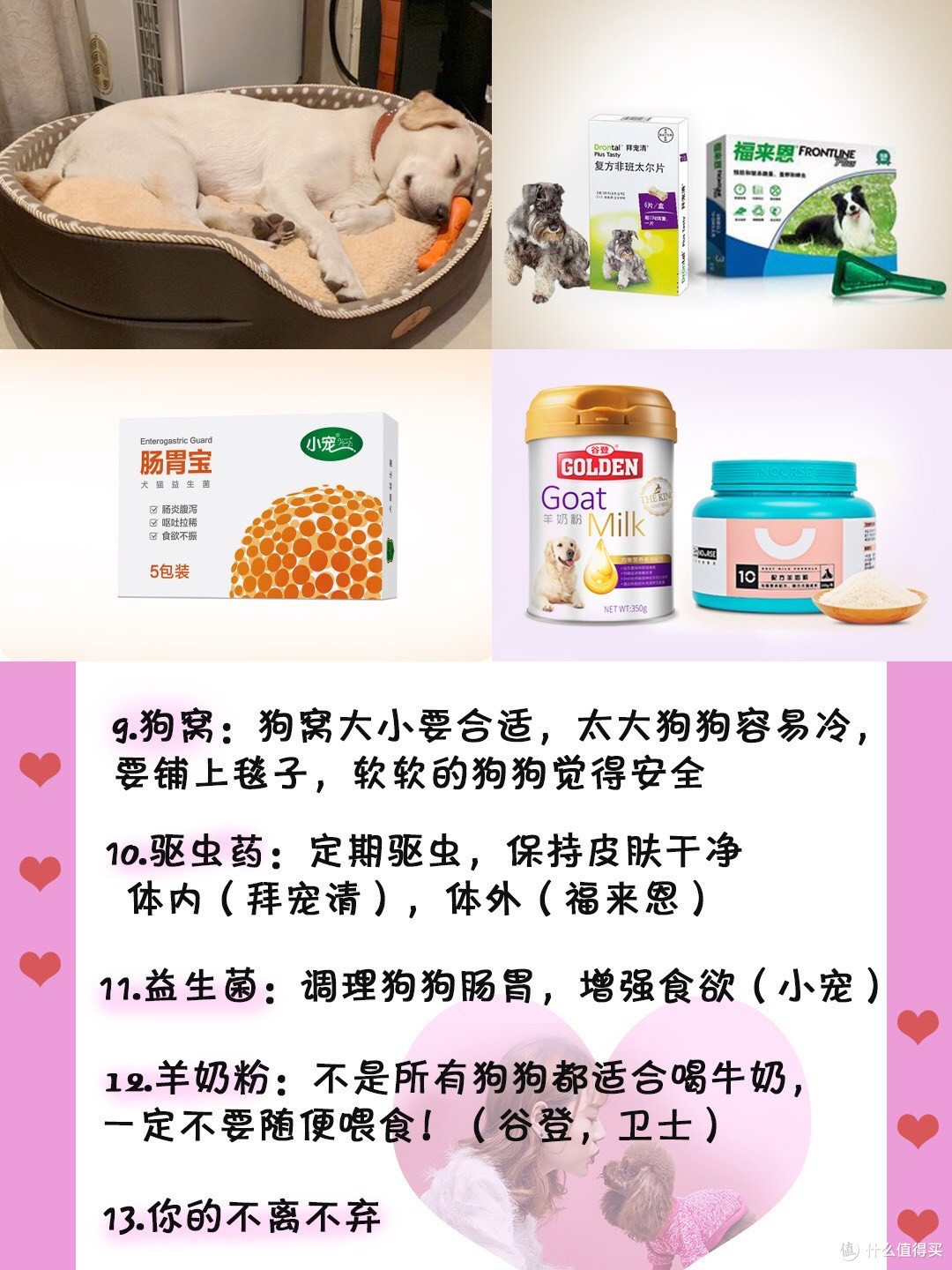 双十一养狗清单