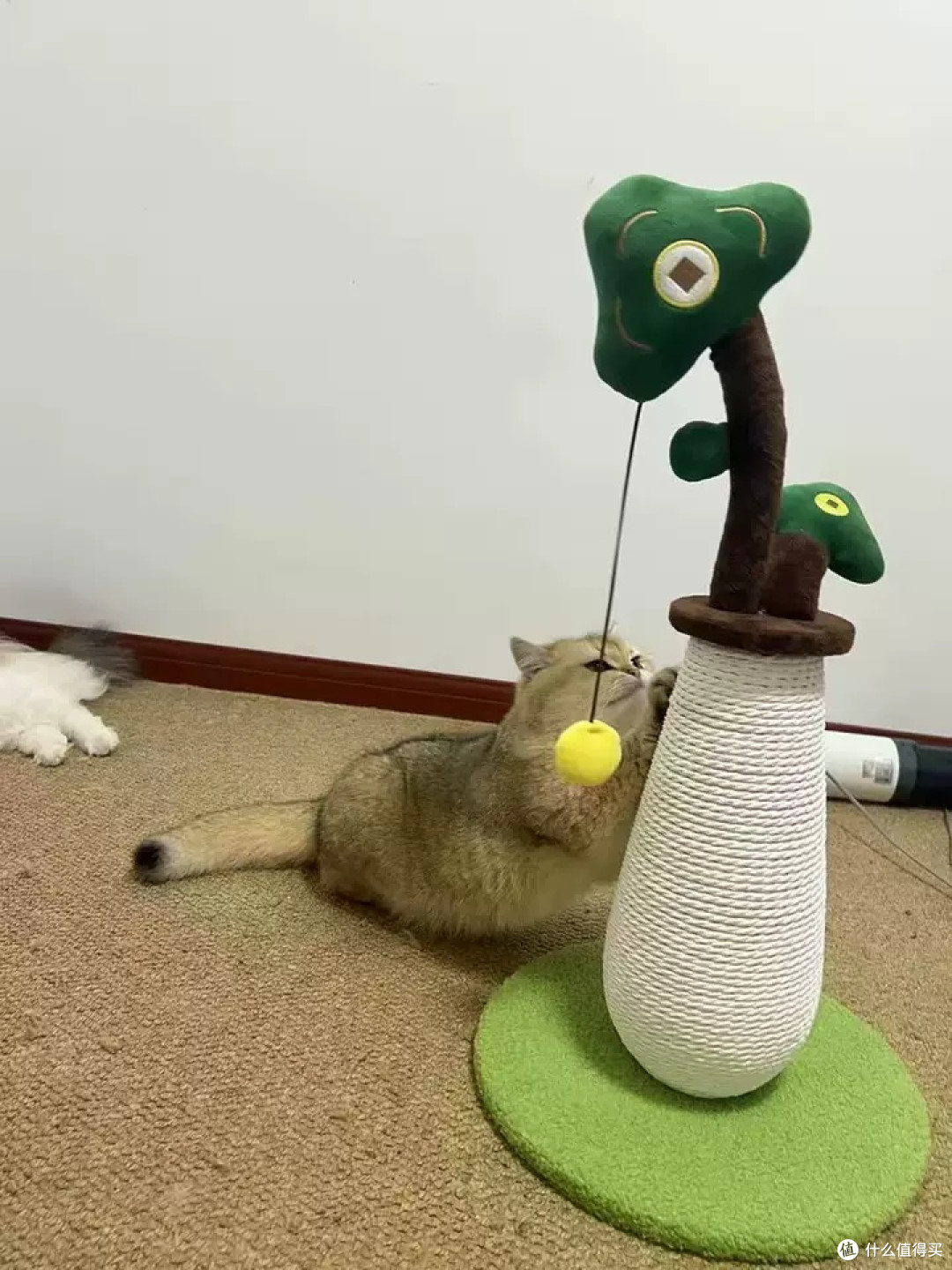 MUJI剑麻猫爬架:平衡磨爪与家居保护