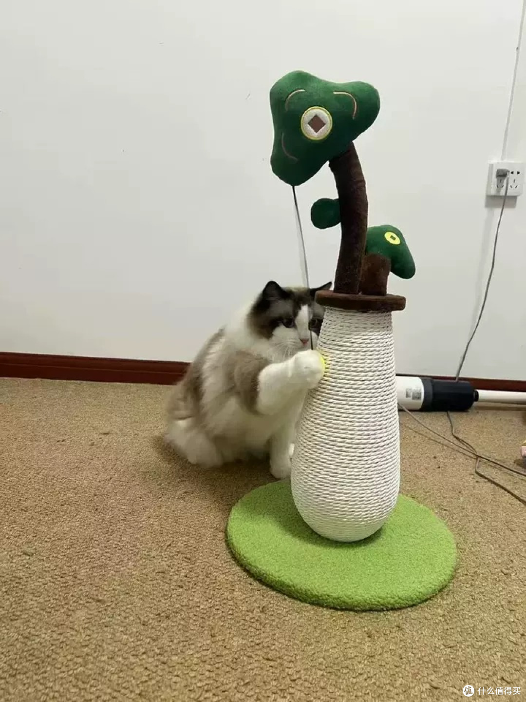 MUJI剑麻猫爬架:平衡磨爪与家居保护