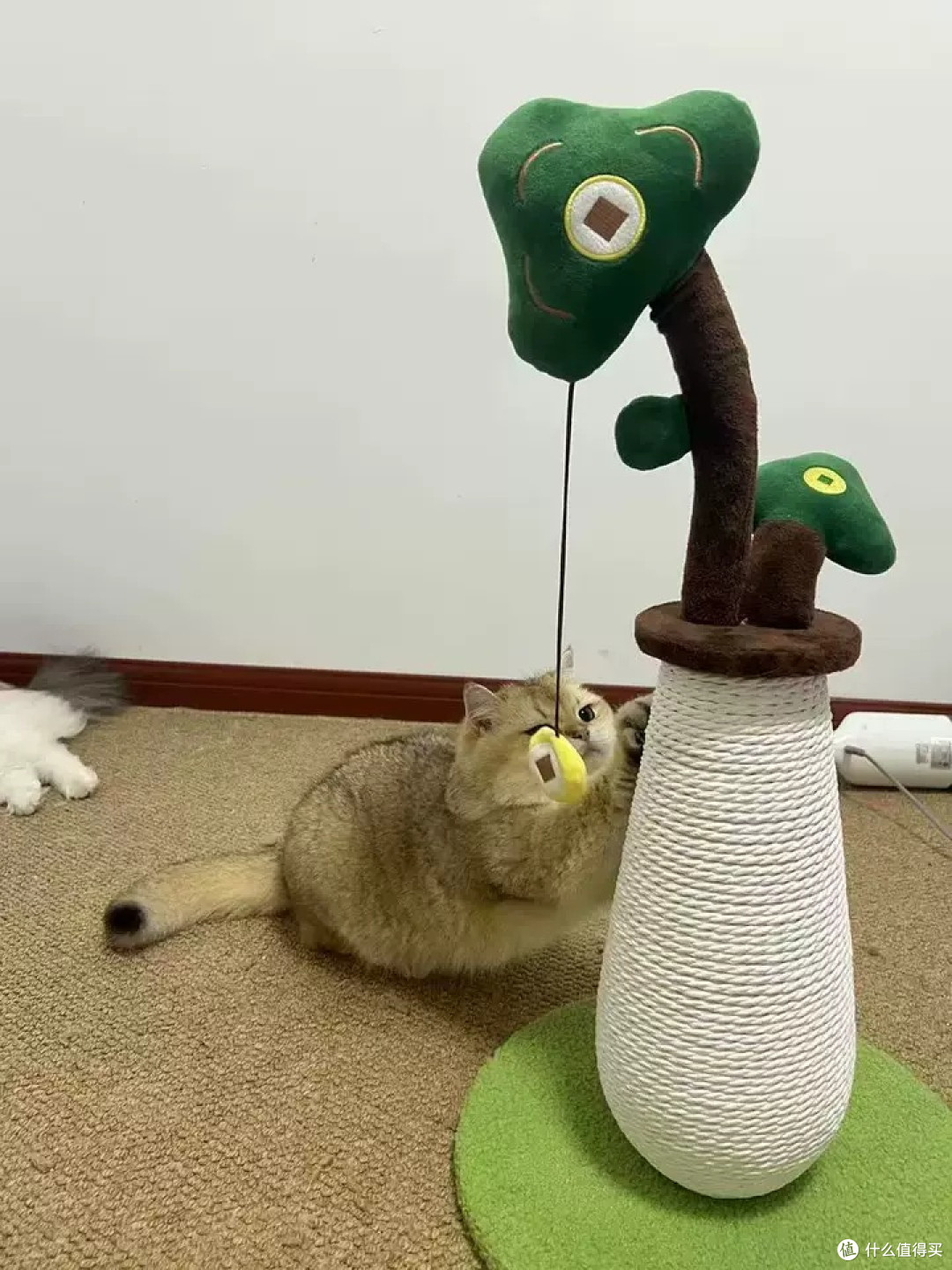 MUJI剑麻猫爬架:平衡磨爪与家居保护