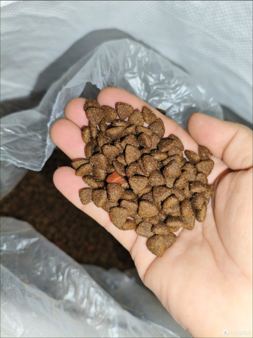 我的宠物双11购物清单：卫加狗粮成了全家“刚需囤货款”