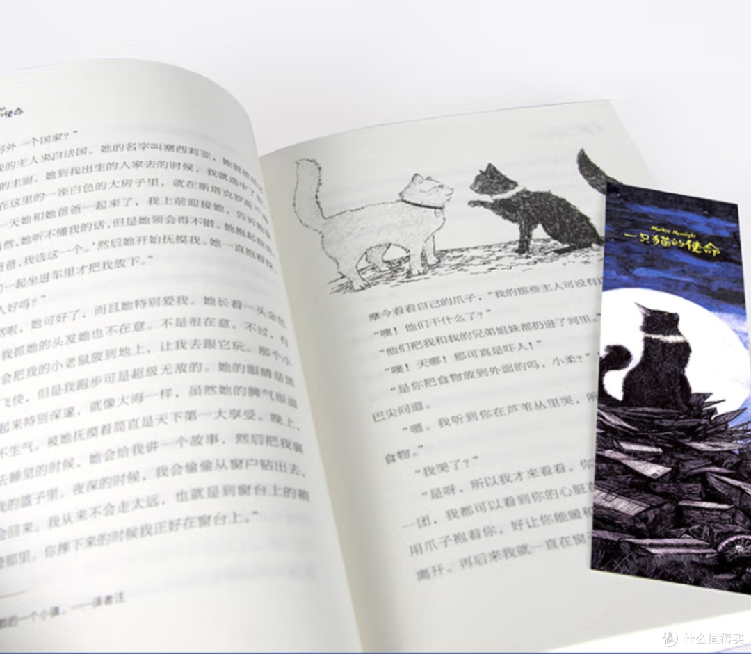 爪印里的成长:读《一只猫的使命》