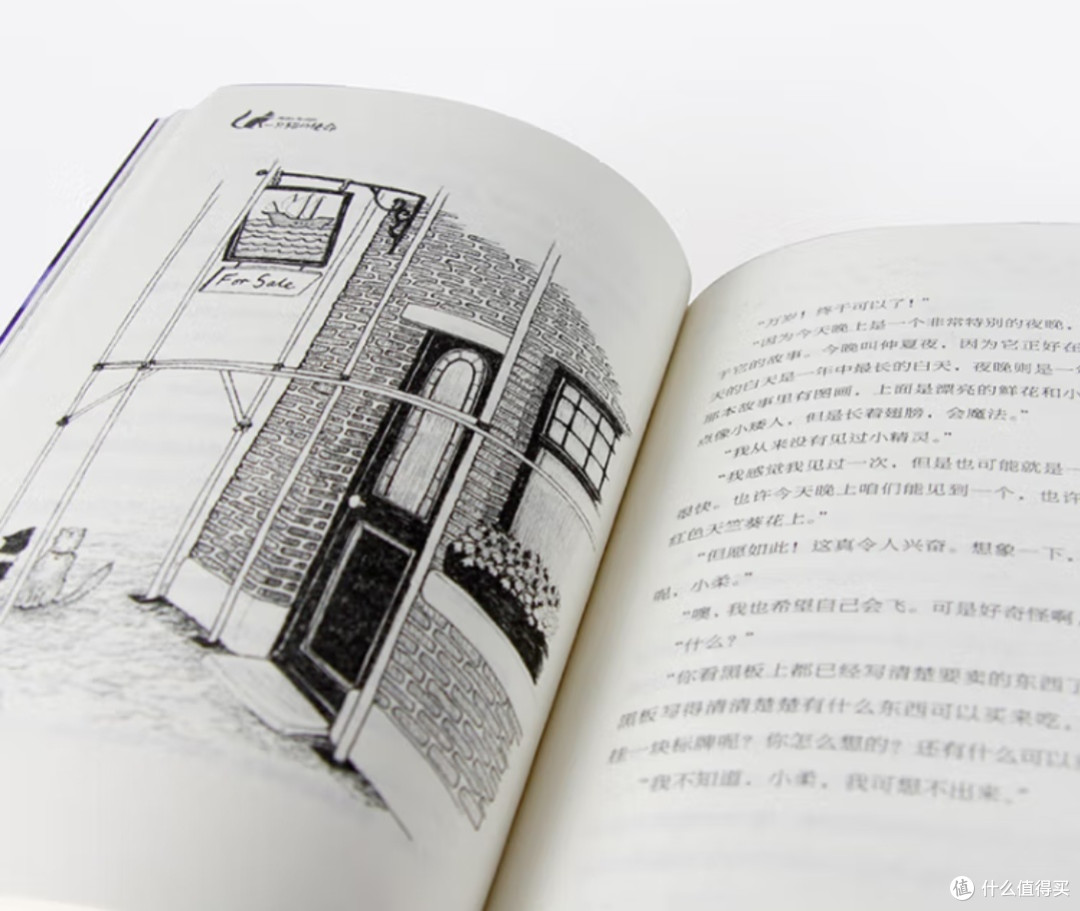 爪印里的成长:读《一只猫的使命》