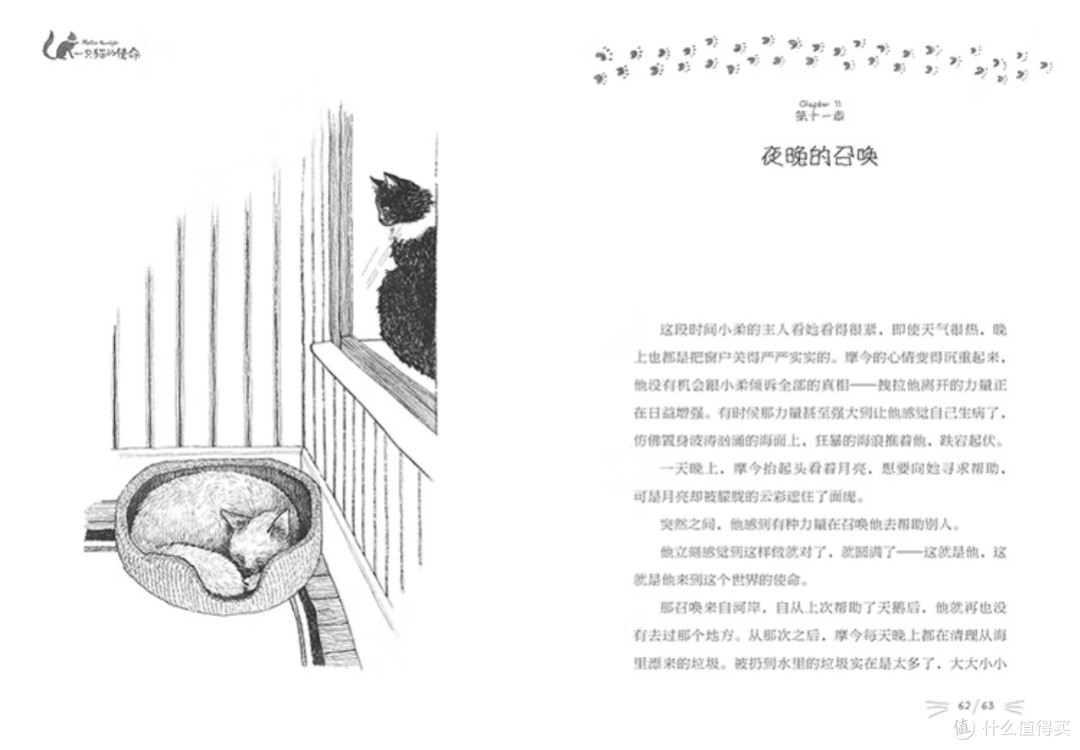 爪印里的成长:读《一只猫的使命》