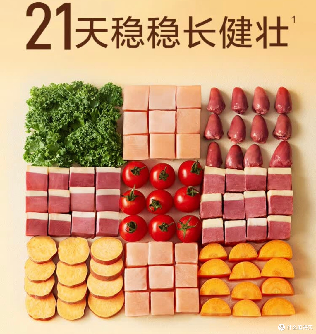 双11养宠选购指南:网易严选鲜蒸猫粮,铲屎官的换粮优选