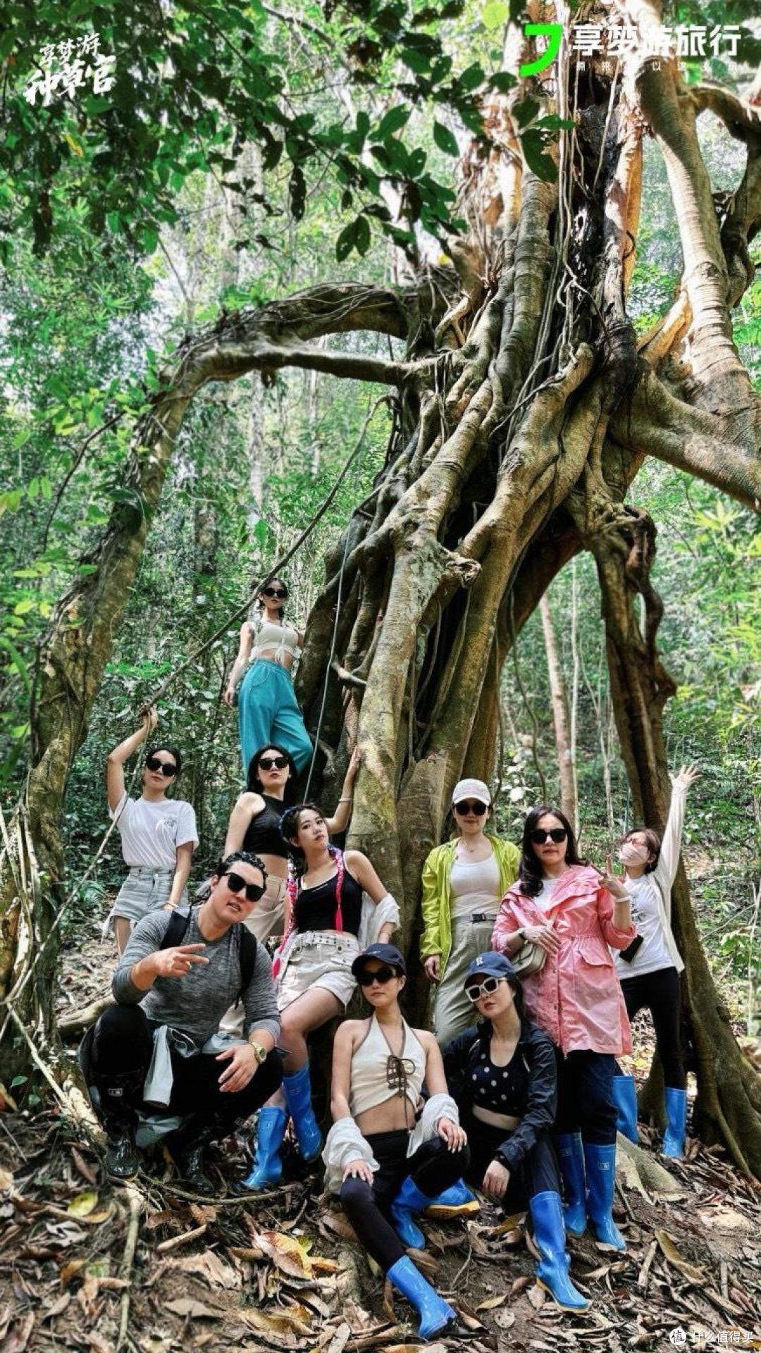不止于旅行：享梦游9年进化，构建全龄段美好生活生态