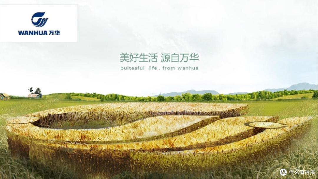 颗粒板怕质量差?2025年颗粒板行业十大先进工艺品牌