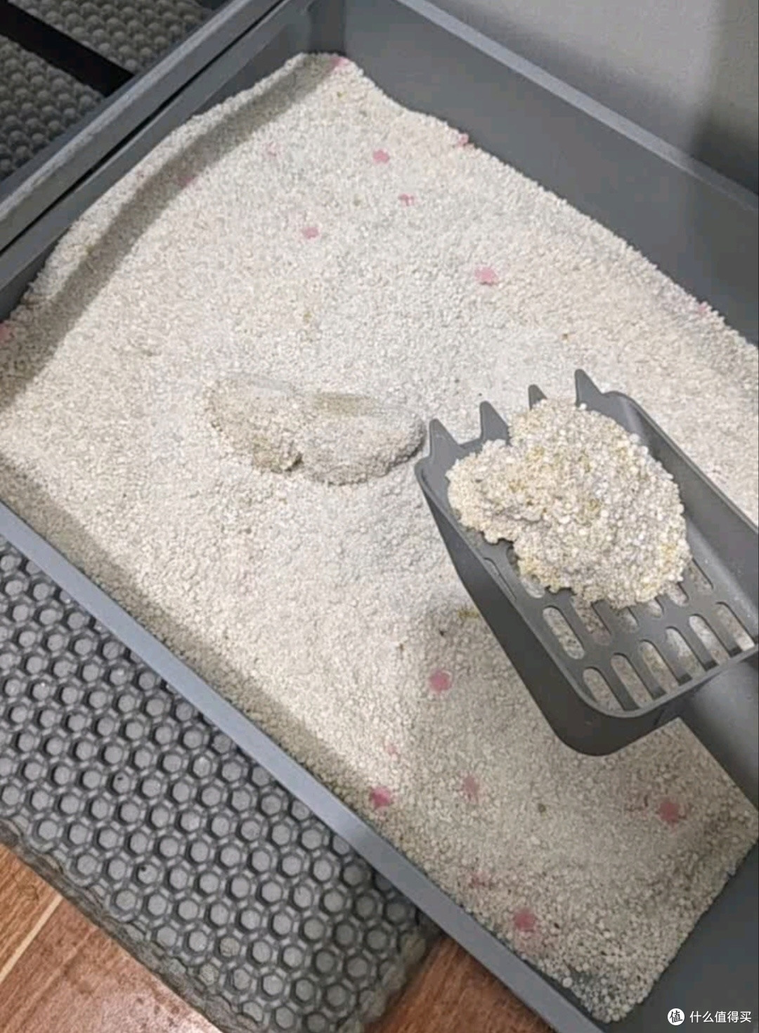 双十一囤货囧宝猫砂性价比高