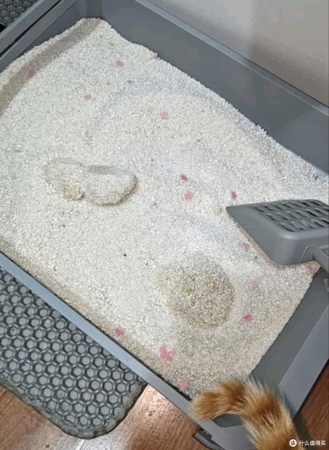 双十一囤货囧宝猫砂性价比高