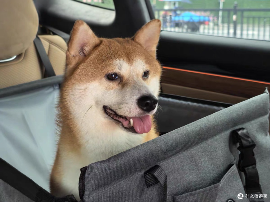 麦富迪BARF霸弗犬粮：挑剔小狗的“真香”选择