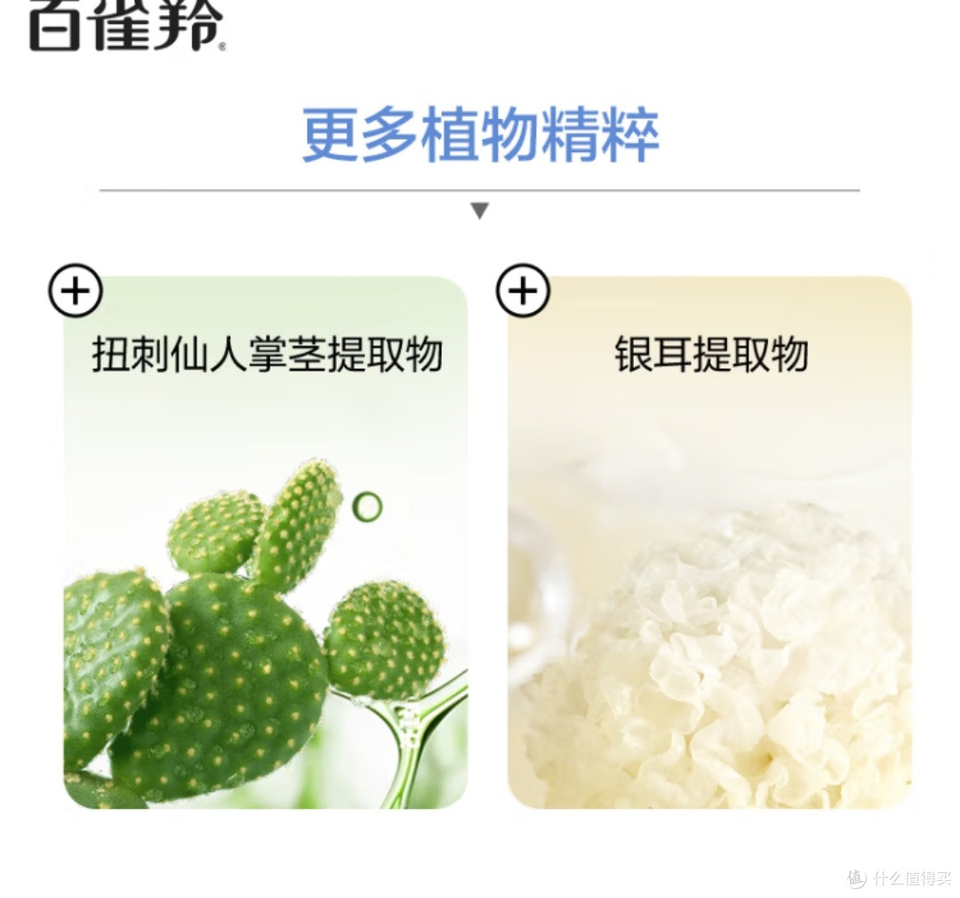 秋冬补水救星:把20片草本润养,藏进双十一的优惠里