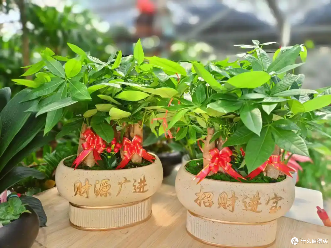 无论新房还是二手房乔迁,都要注意“3送3不送”,来自长辈的叮嘱
