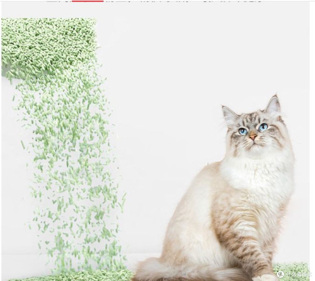 皇家搭档猫砂:绿茶豆腐配方除臭效果显著!