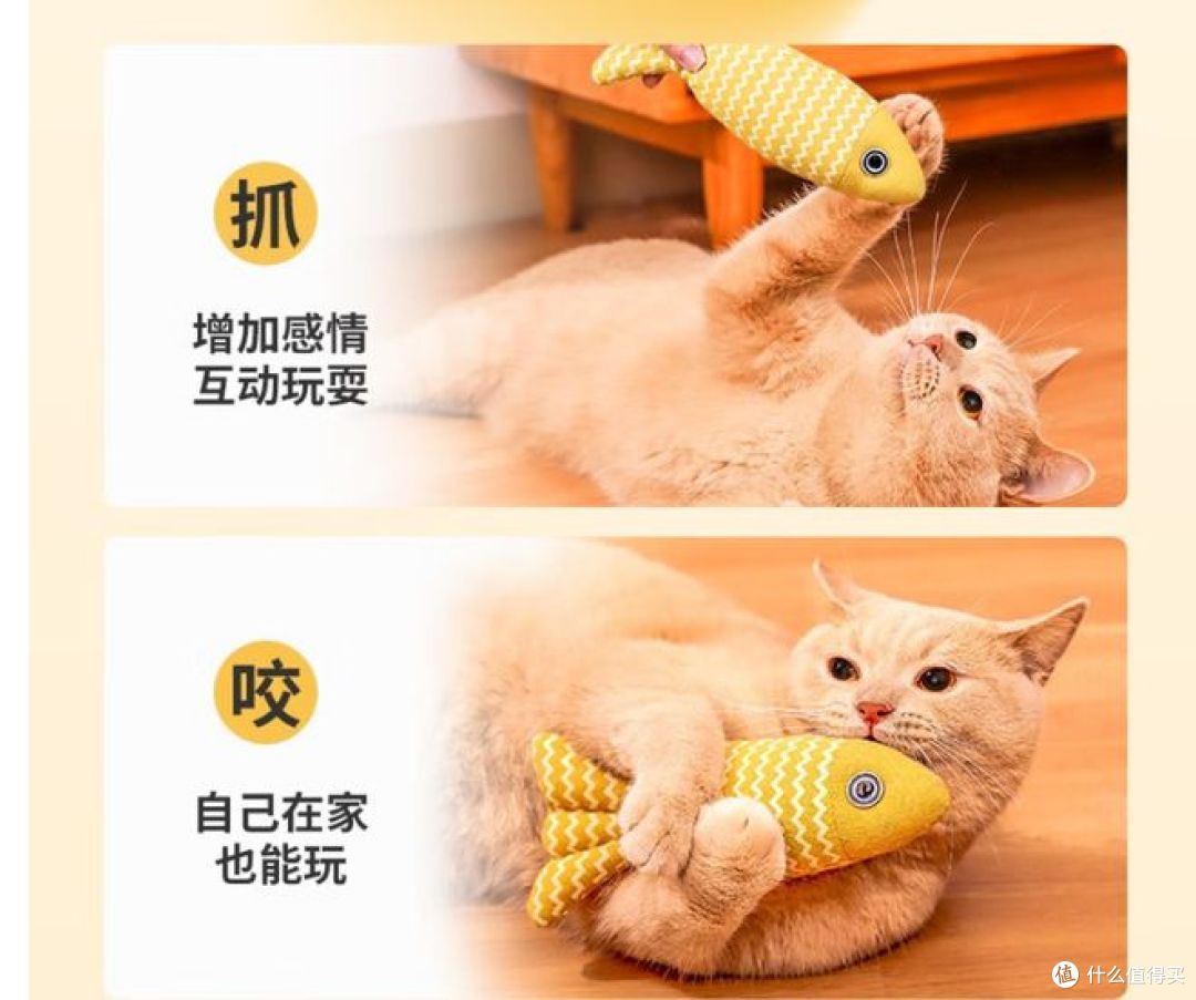 欢宠网逗猫棒,自嗨解闷,让你的猫乐翻天!