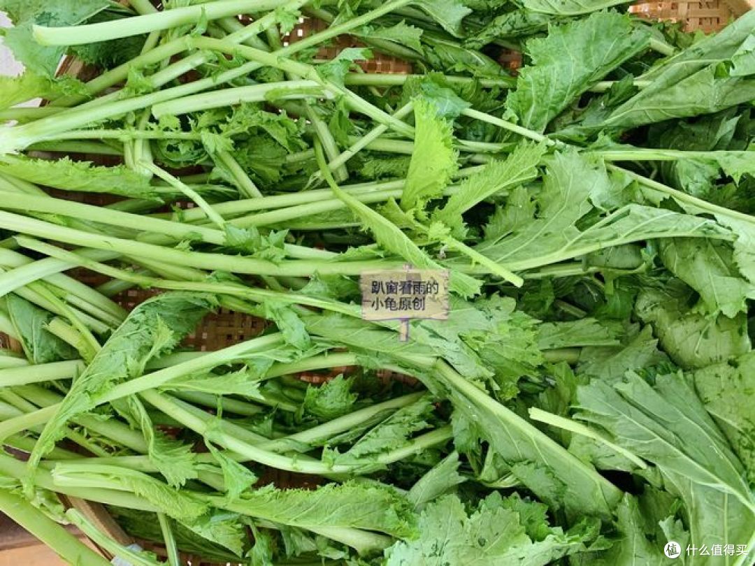 霜降到,该腌雪里蕻了,这方法最简单,轻松上手,可以囤到过年