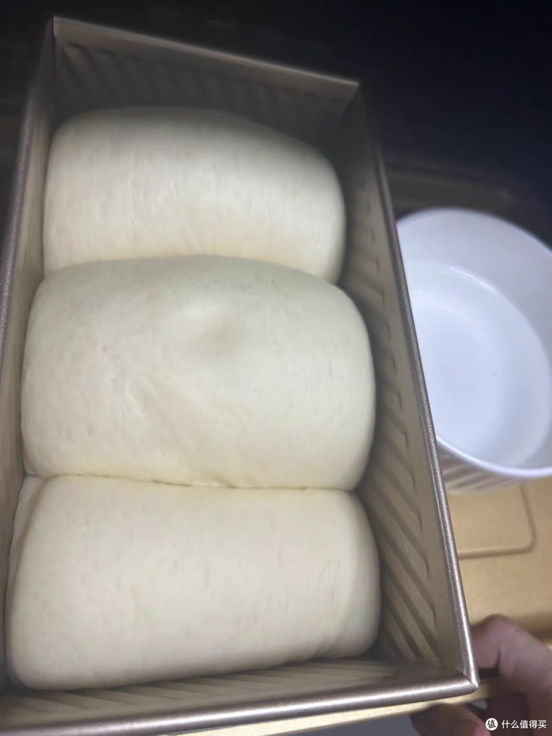 长帝小馋猫烤箱，让甜品香填满厨房