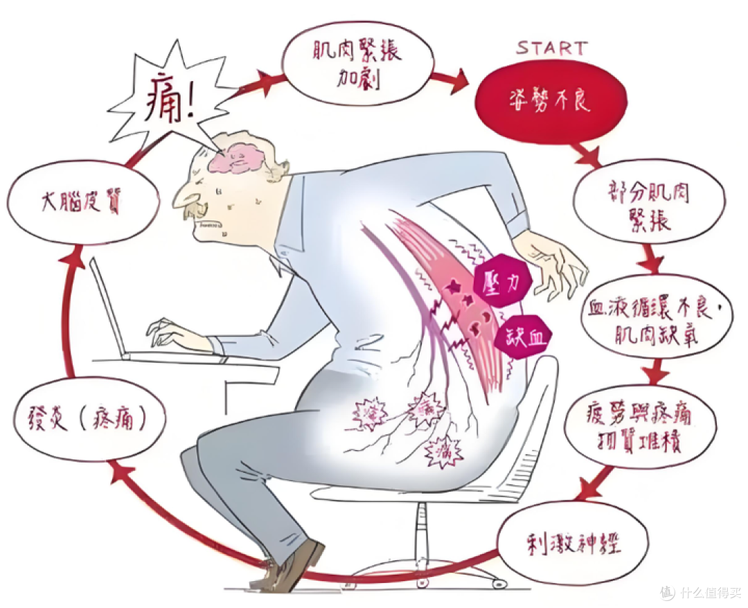 肩颈腰酸痛僵硬，暴力按摩不可取！挖到了一款不错的全身按摩垫