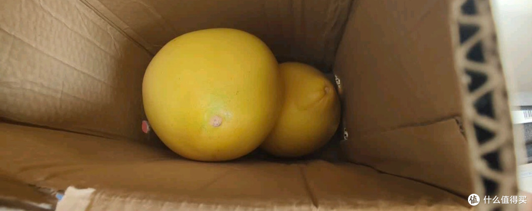 福建红心柚风味物质实证测评