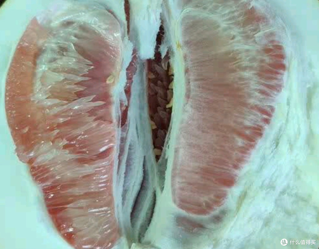 福建红心柚风味物质实证测评
