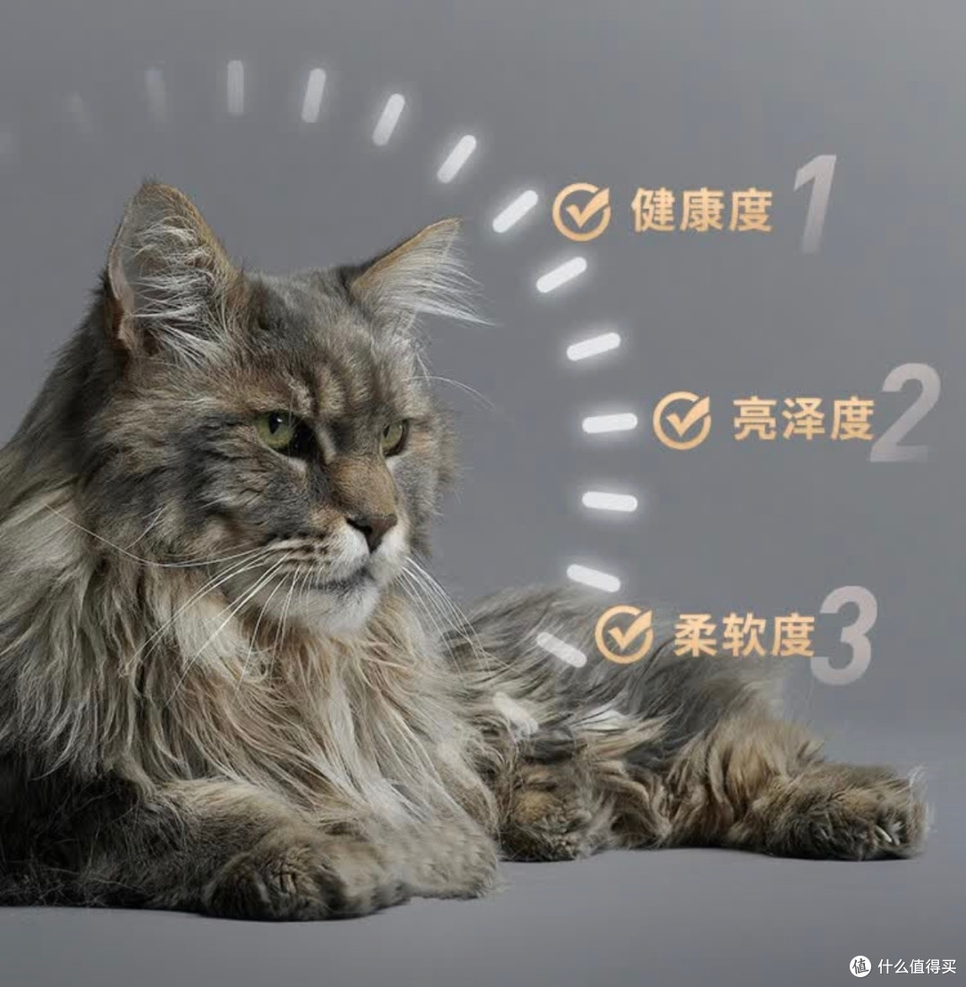 双11养猫党必囤!鲜朗烘焙粮