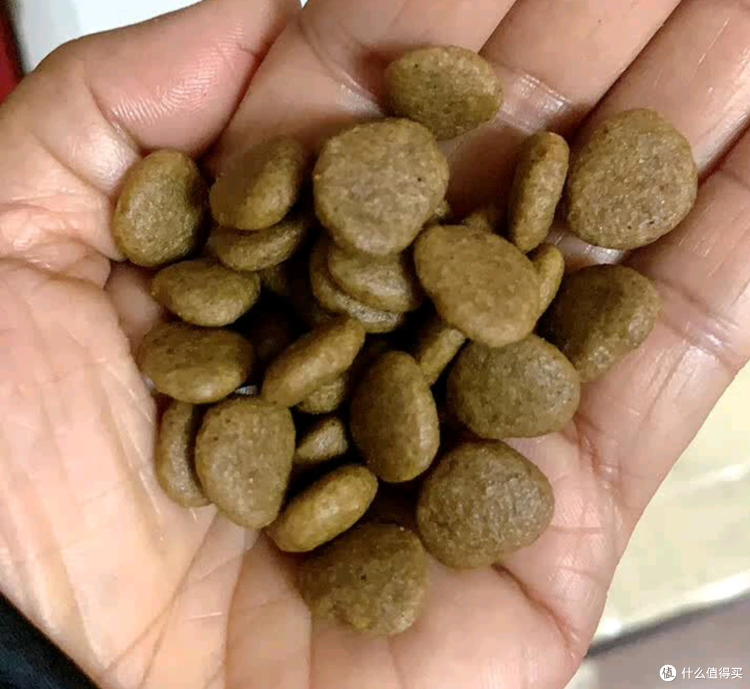 海洋之星三文鱼狗粮,金毛比熊边牧都爱吃的宝藏粮