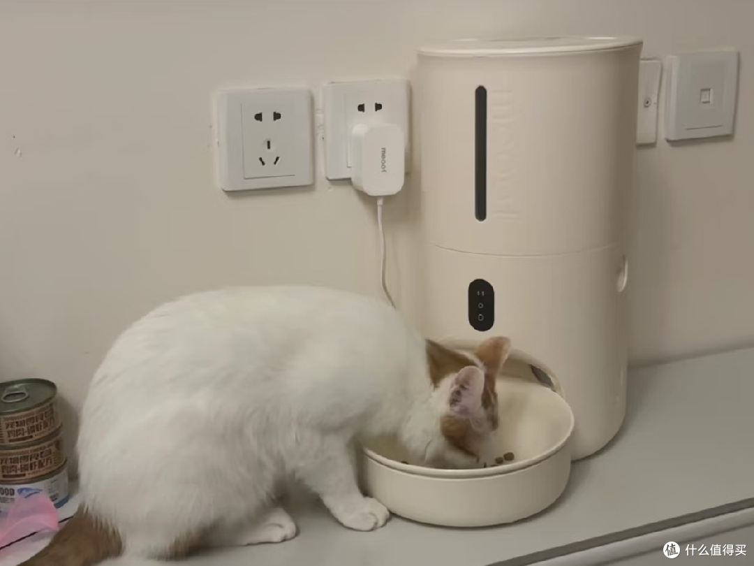 还得是自动喂食器啊!