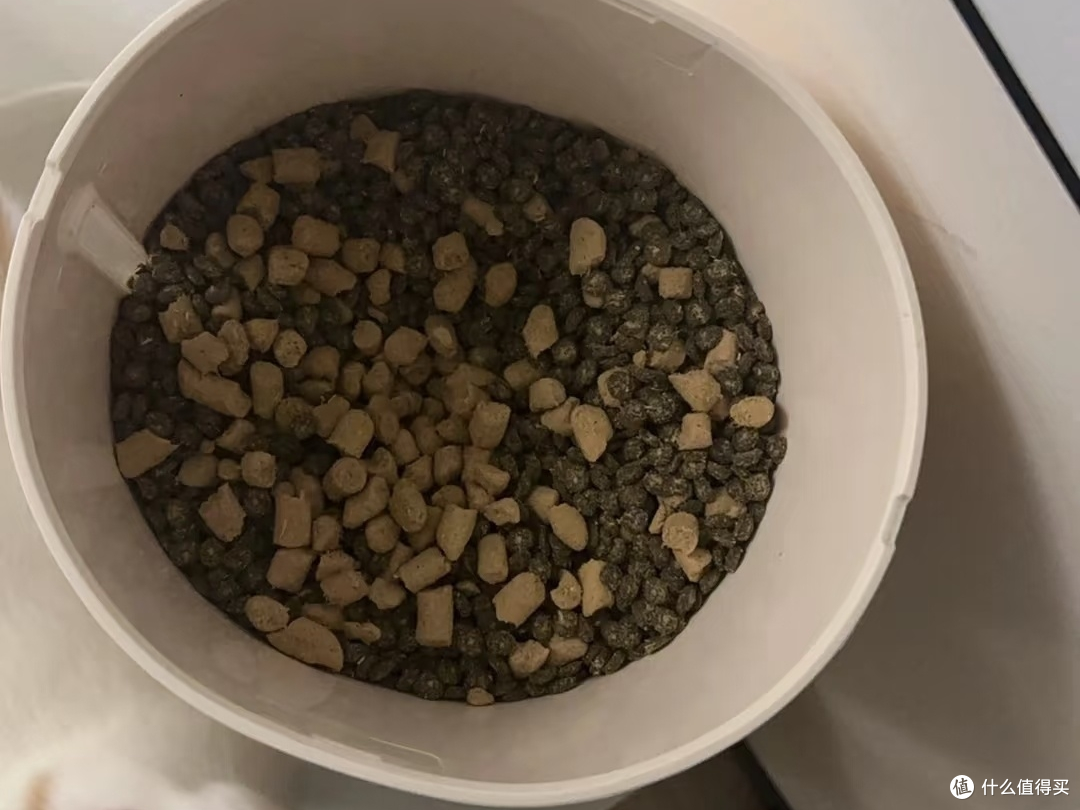 还得是自动喂食器啊!