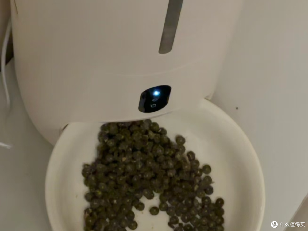 还得是自动喂食器啊!
