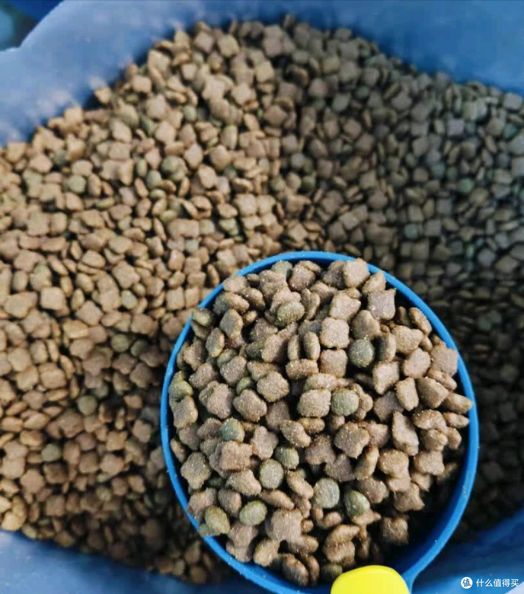 双十一养宠必囤狗粮:麦富迪狗粮 藻趣儿狗粮