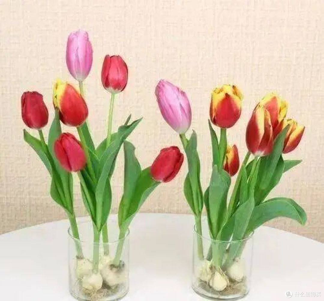 “花旺人不旺”,家里有这3种花,赶紧扔掉,很多人还不当回事儿
