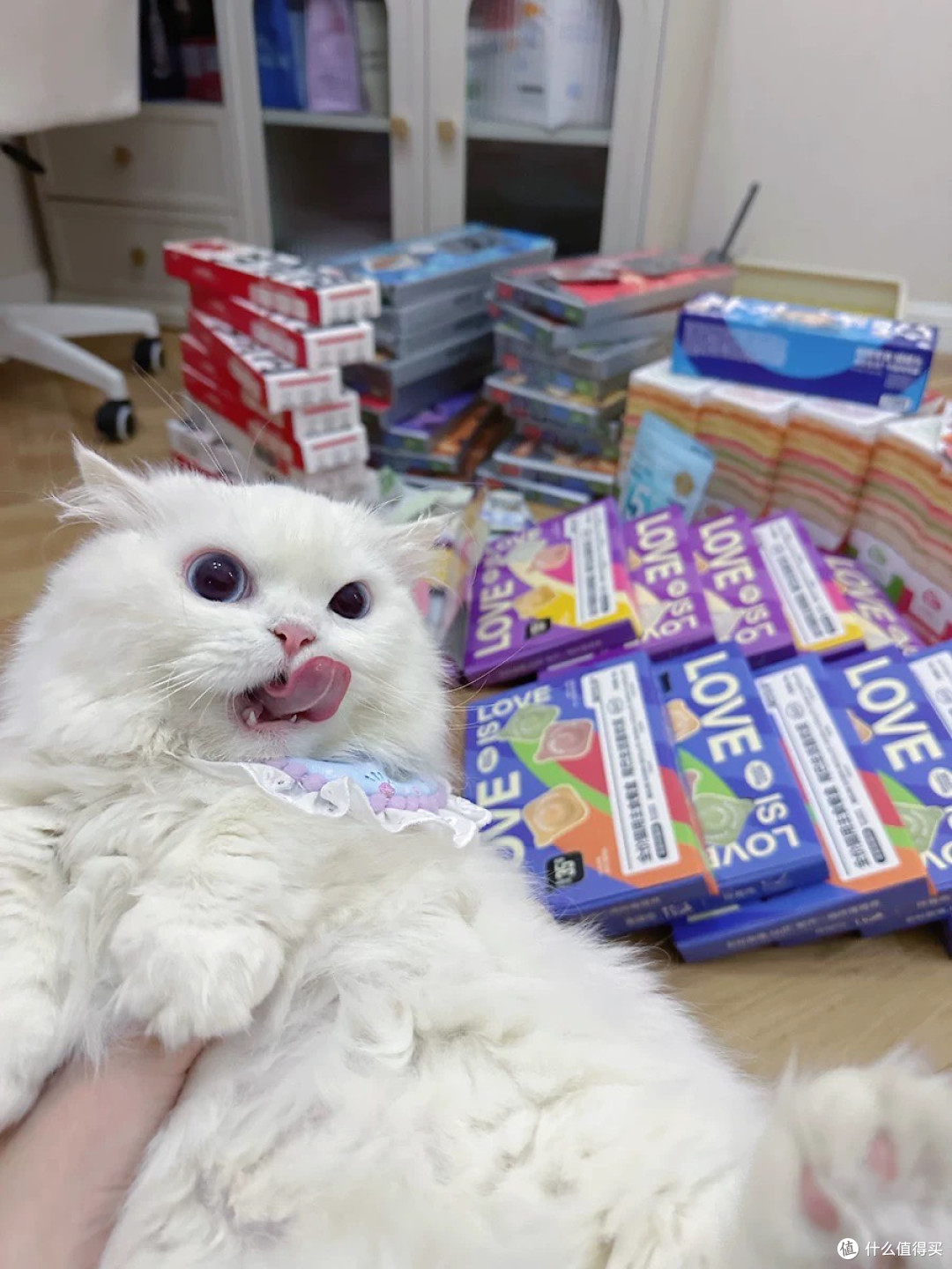 双11养猫必囤!把“挑食猫”喂成“干饭猫”