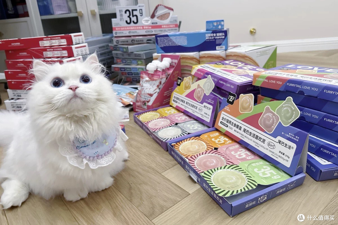 双11养猫必囤!把“挑食猫”喂成“干饭猫”