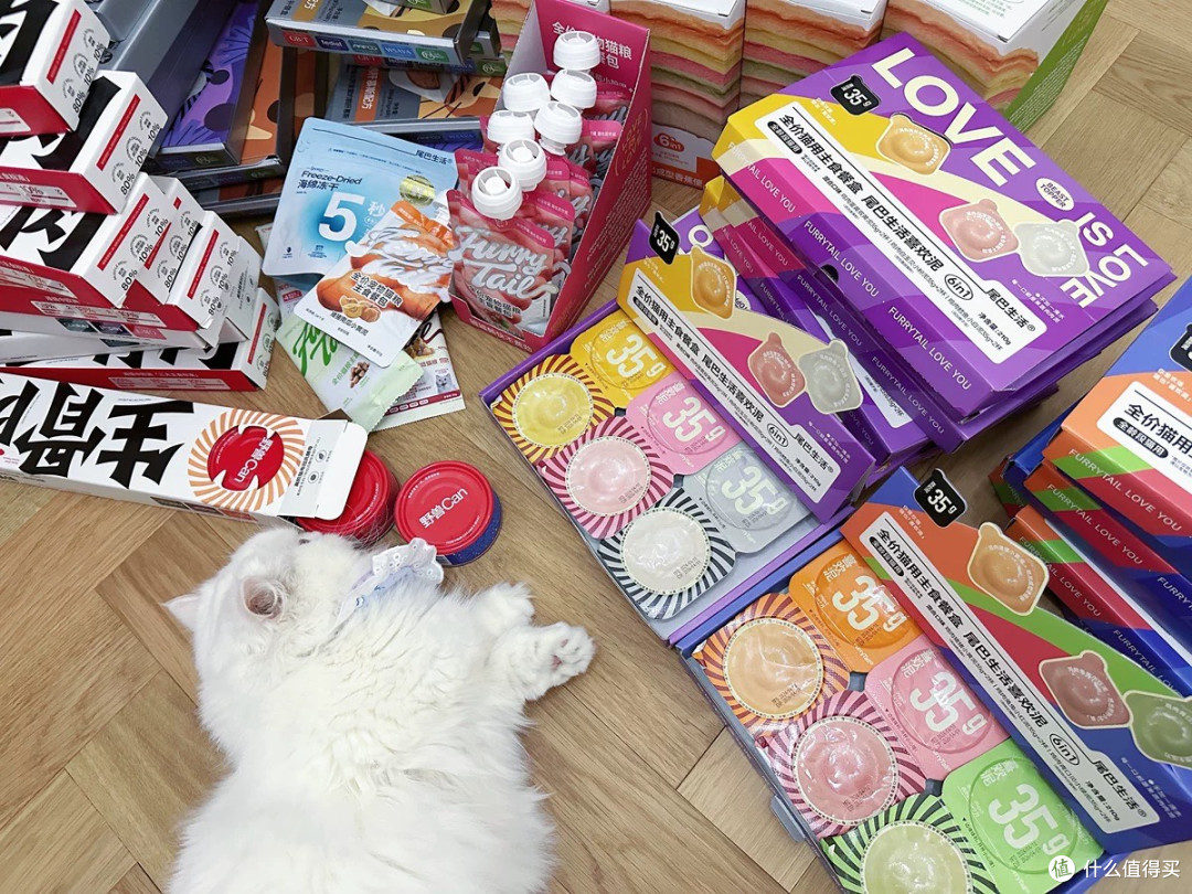 双11养猫必囤!把“挑食猫”喂成“干饭猫”