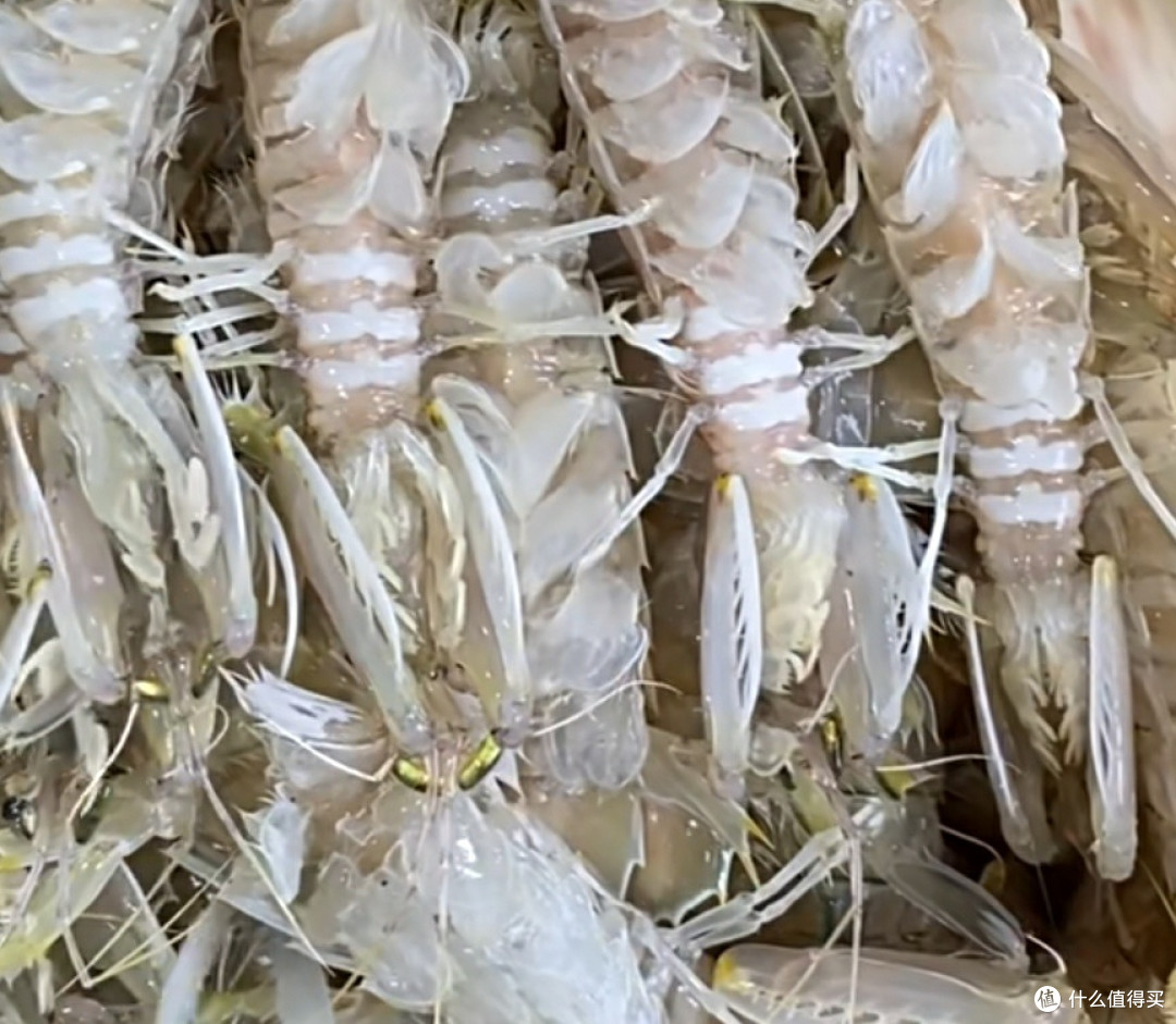 双十一必囤美食:鲜到上头的皮皮虾,囤它!