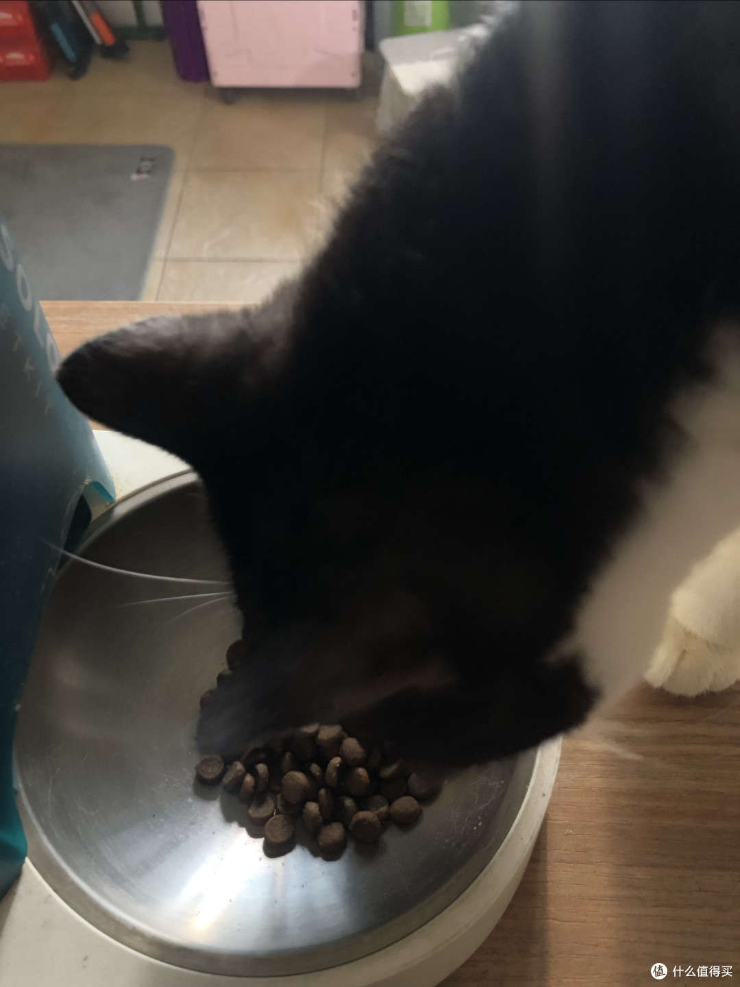 素力高金装金素鸡猫粮实测:高蛋白真长肉还是智商税?