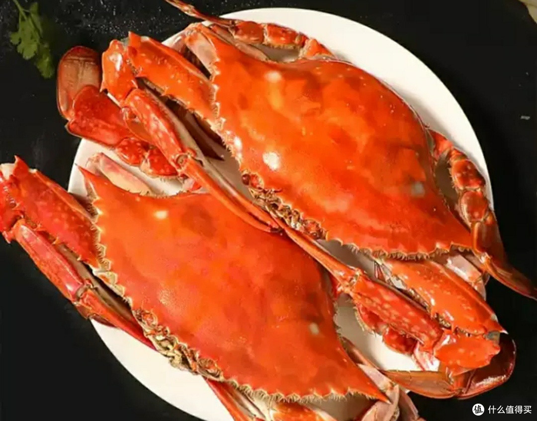 双十一必囤美食:鲜到跺脚的梭子蟹,囤满冰箱才安心