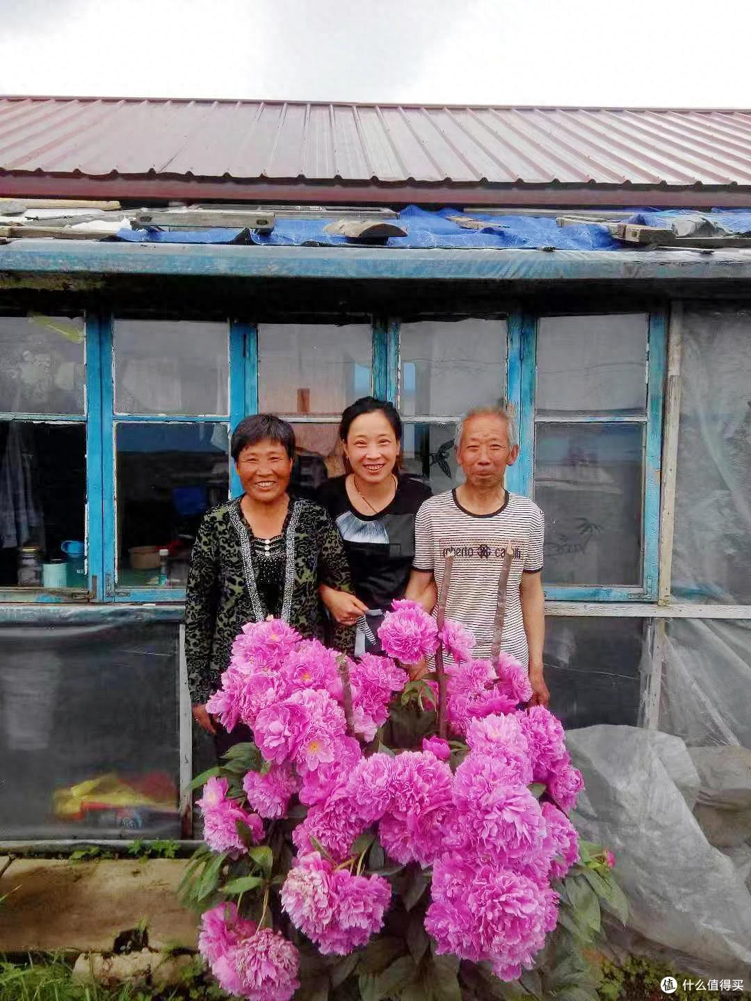 黑龙江一姑娘,晒妈妈养了9年的芍药,网友:养花这事,得看长辈