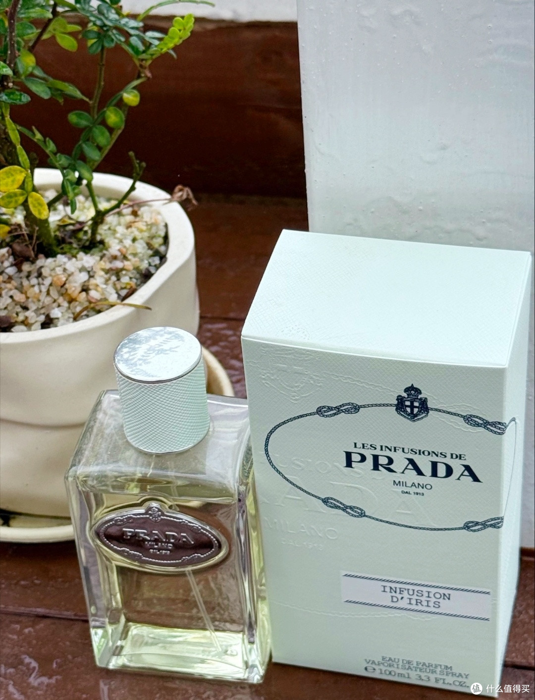 鸢尾花不是花,是月光做的铠甲:Prada 浮梦鸢尾