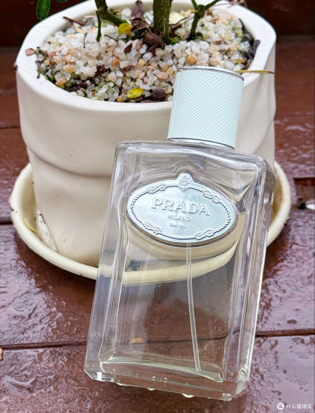鸢尾花不是花,是月光做的铠甲:Prada 浮梦鸢尾