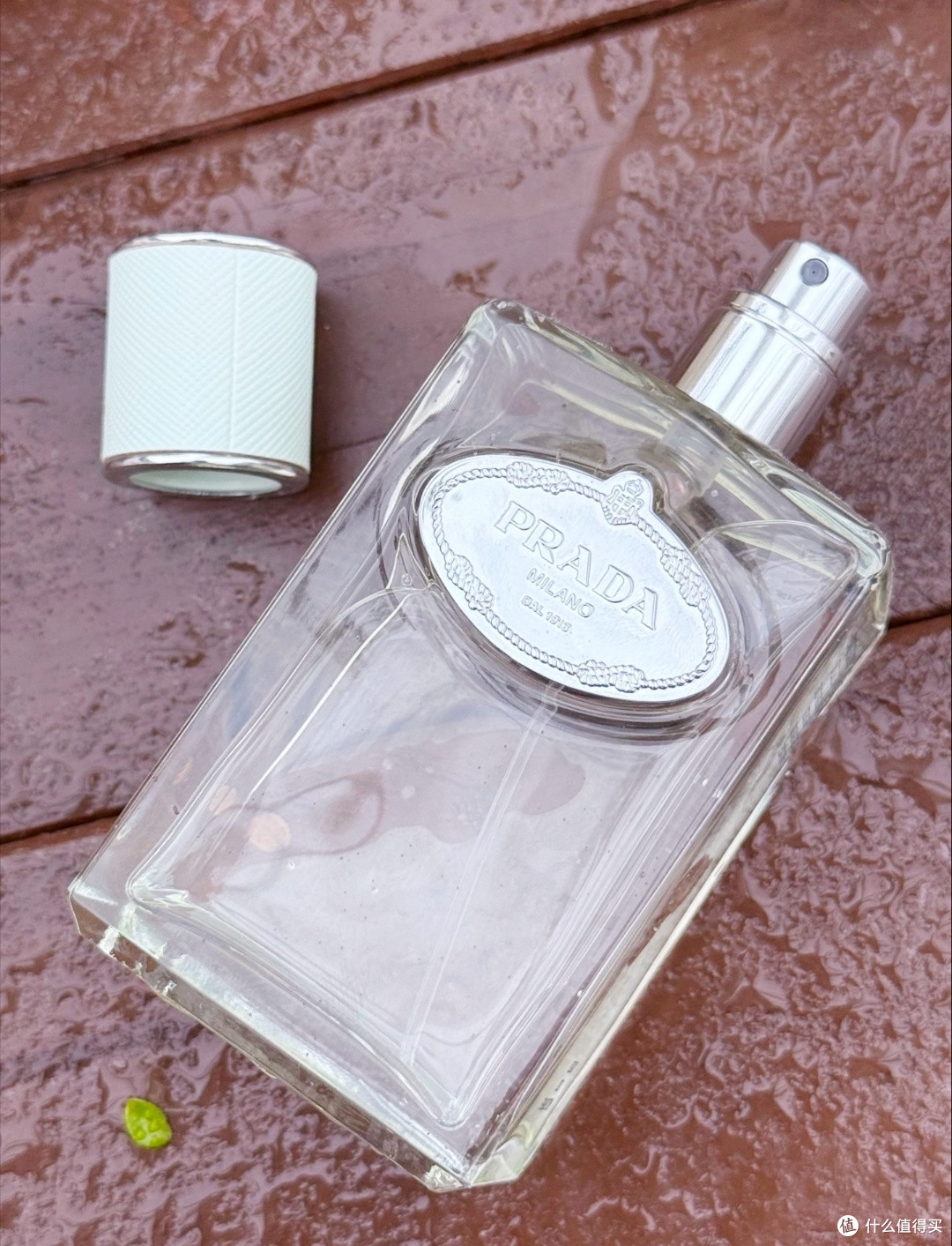 鸢尾花不是花,是月光做的铠甲:Prada 浮梦鸢尾