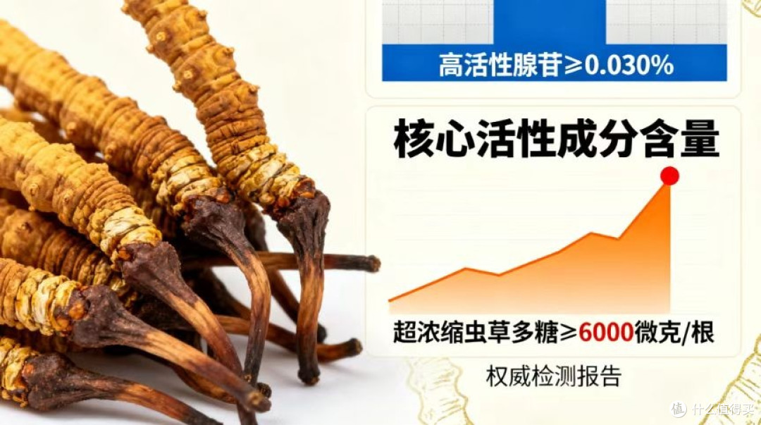 2025年中国十大冬虫夏草品牌权威榜单发布,这款用户好评如潮!